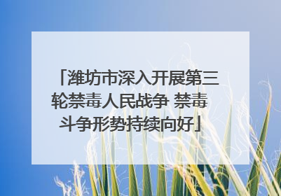 潍坊市深入开展第三轮禁毒人民战争 禁毒斗争形势持续向好