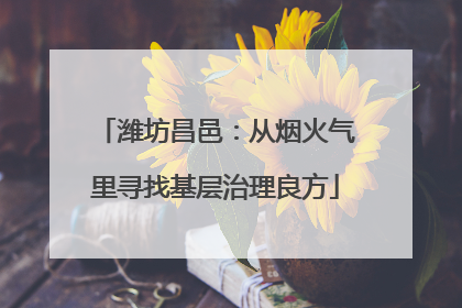 潍坊昌邑：从烟火气里寻找基层治理良方