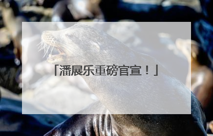 潘展乐重磅官宣！