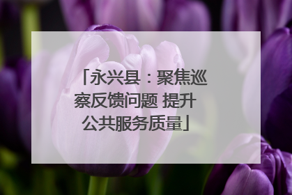 永兴县：聚焦巡察反馈问题 提升公共服务质量