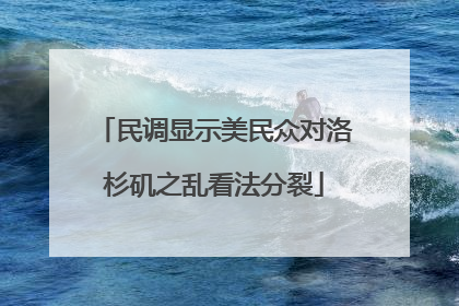 民调显示美民众对洛杉矶之乱看法分裂