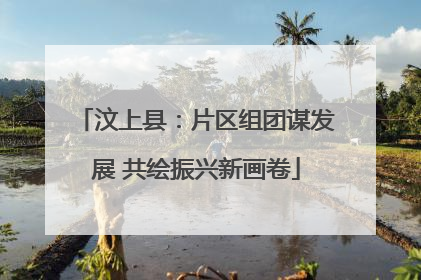 汶上县：片区组团谋发展 共绘振兴新画卷
