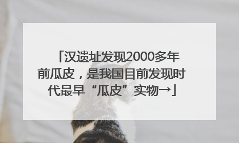 汉遗址发现2000多年前瓜皮，是我国目前发现时代最早“瓜皮”实物→