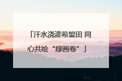 汗水浇灌希望田 同心共绘“绿画卷”