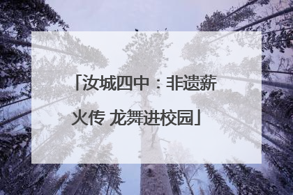 汝城四中：非遗薪火传 龙舞进校园
