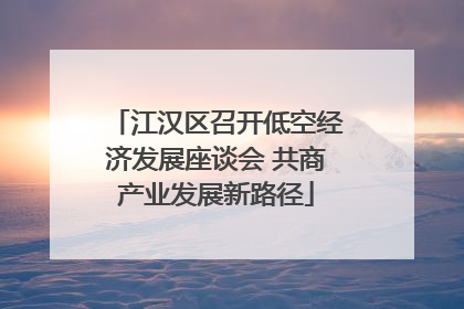 江汉区召开低空经济发展座谈会 共商产业发展新路径
