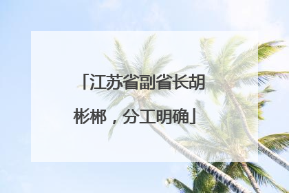 江苏省副省长胡彬郴，分工明确