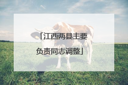 江西两县主要负责同志调整