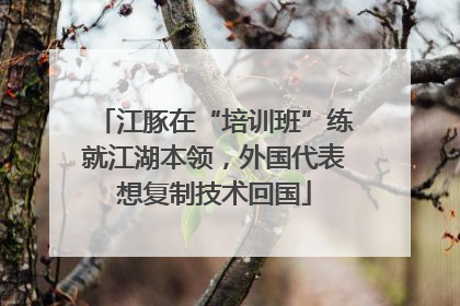 江豚在“培训班”练就江湖本领，外国代表想复制技术回国