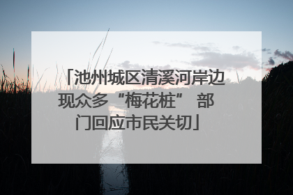 池州城区清溪河岸边现众多“梅花桩” 部门回应市民关切