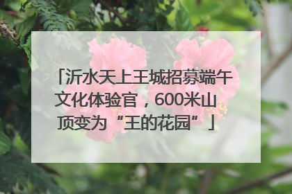沂水天上王城招募端午文化体验官，600米山顶变为“王的花园”