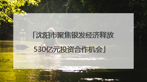 沈阳市聚焦银发经济释放530亿元投资合作机会