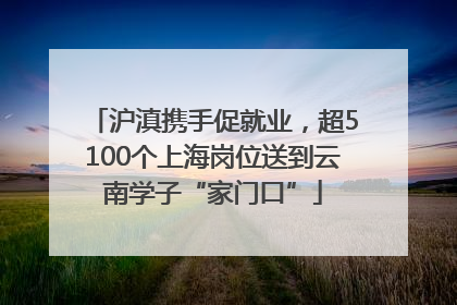 沪滇携手促就业，超5100个上海岗位送到云南学子“家门口”