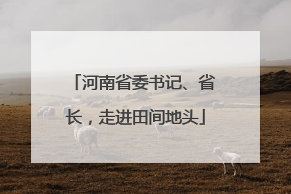 河南省委书记、省长，走进田间地头