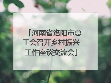 河南省洛阳市总工会召开乡村振兴工作座谈交流会