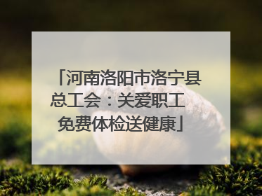 河南洛阳市洛宁县总工会：关爱职工 免费体检送健康
