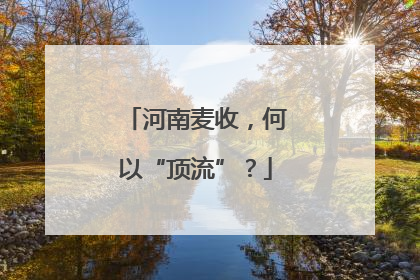 河南麦收，何以“顶流”？