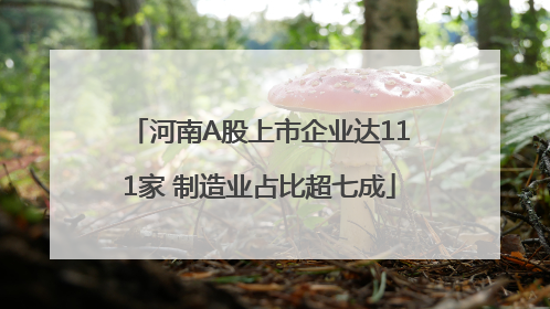 河南A股上市企业达111家 制造业占比超七成