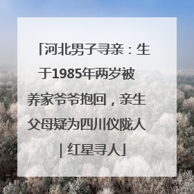 河北男子寻亲：生于1985年两岁被养家爷爷抱回，亲生父母疑为四川仪陇人｜红星寻人