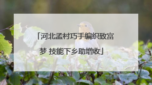 河北孟村巧手编织致富梦 技能下乡助增收
