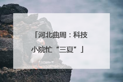河北曲周：科技小院忙“三夏”