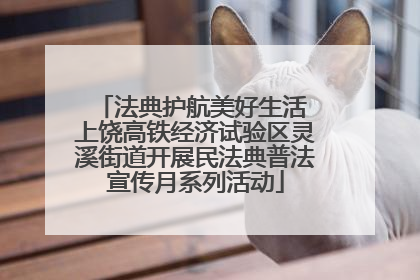法典护航美好生活 上饶高铁经济试验区灵溪街道开展民法典普法宣传月系列活动