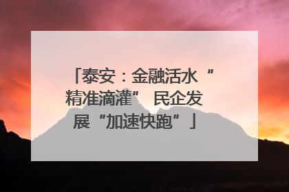 泰安：金融活水“精准滴灌” 民企发展“加速快跑”