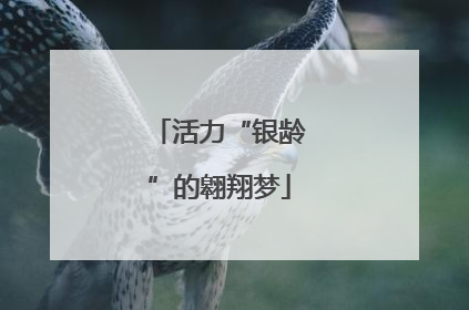 活力“银龄”的翱翔梦