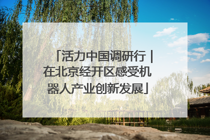 活力中国调研行｜在北京经开区感受机器人产业创新发展