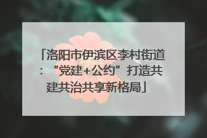 洛阳市伊滨区李村街道：“党建+公约”打造共建共治共享新格局