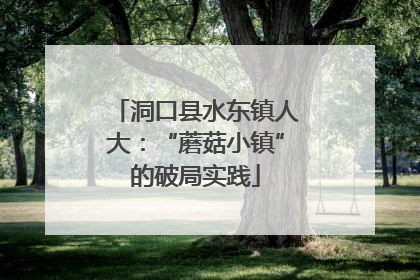 洞口县水东镇人大：“蘑菇小镇”的破局实践