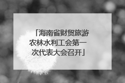 海南省财贸旅游农林水利工会第一次代表大会召开