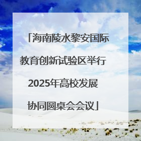 海南陵水黎安国际教育创新试验区举行2025年高校发展协同圆桌会会议