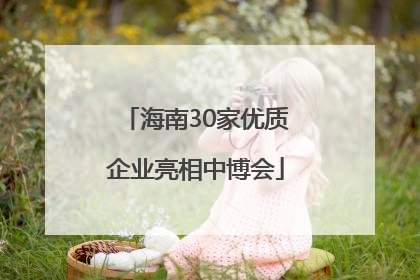 海南30家优质企业亮相中博会