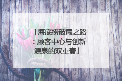 海底捞破局之路：顾客中心与创新源泉的双重奏