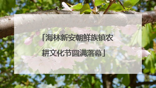 海林新安朝鲜族镇农耕文化节圆满落幕