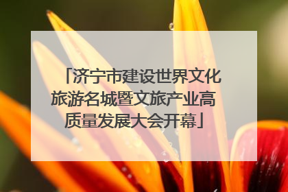 济宁市建设世界文化旅游名城暨文旅产业高质量发展大会开幕