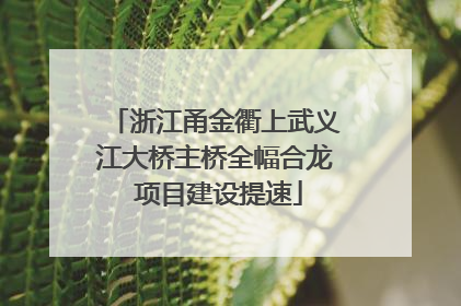 浙江甬金衢上武义江大桥主桥全幅合龙 项目建设提速