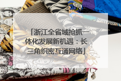 浙江全省域抢抓一体化发展新机遇：长三角织密互通网络
