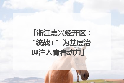 浙江嘉兴经开区：“统战+”为基层治理注入青春动力