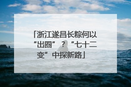 浙江遂昌长粽何以“出圈”？“七十二变”中探新路