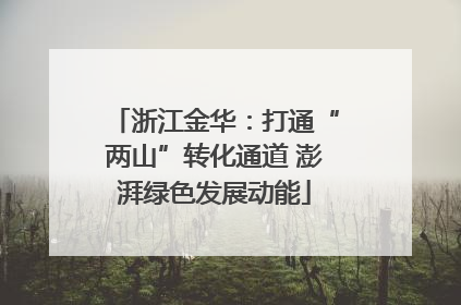 浙江金华：打通“两山”转化通道 澎湃绿色发展动能