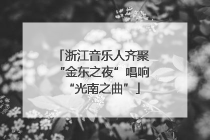 浙江音乐人齐聚“金东之夜”唱响“光南之曲”