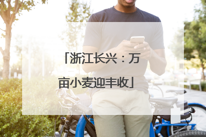 浙江长兴：万亩小麦迎丰收