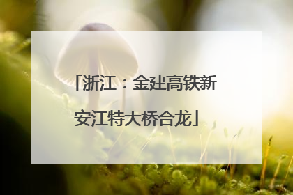 浙江：金建高铁新安江特大桥合龙