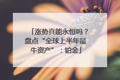涨势真能永恒吗？盘点“全球上半年最牛资产”：铂金