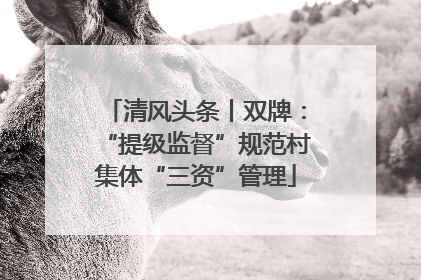 清风头条丨双牌：“提级监督”规范村集体“三资”管理