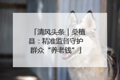 清风头条｜桑植县：精准监督守护群众“养老钱”
