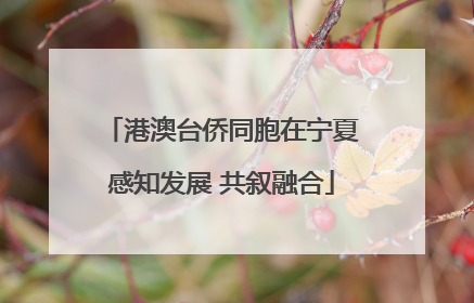 港澳台侨同胞在宁夏感知发展 共叙融合