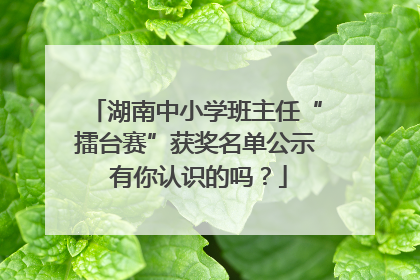 湖南中小学班主任“擂台赛”获奖名单公示 有你认识的吗？